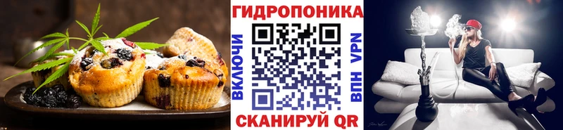 Cannafood конопля  Калининец 