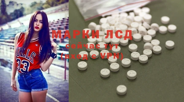 сатива Пестово