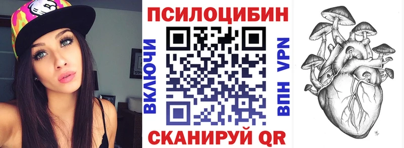 omg ссылки Калининец Галлюциногенные грибы Cubensis